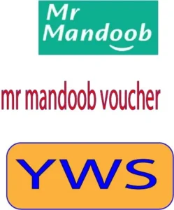 mr mandoob voucher